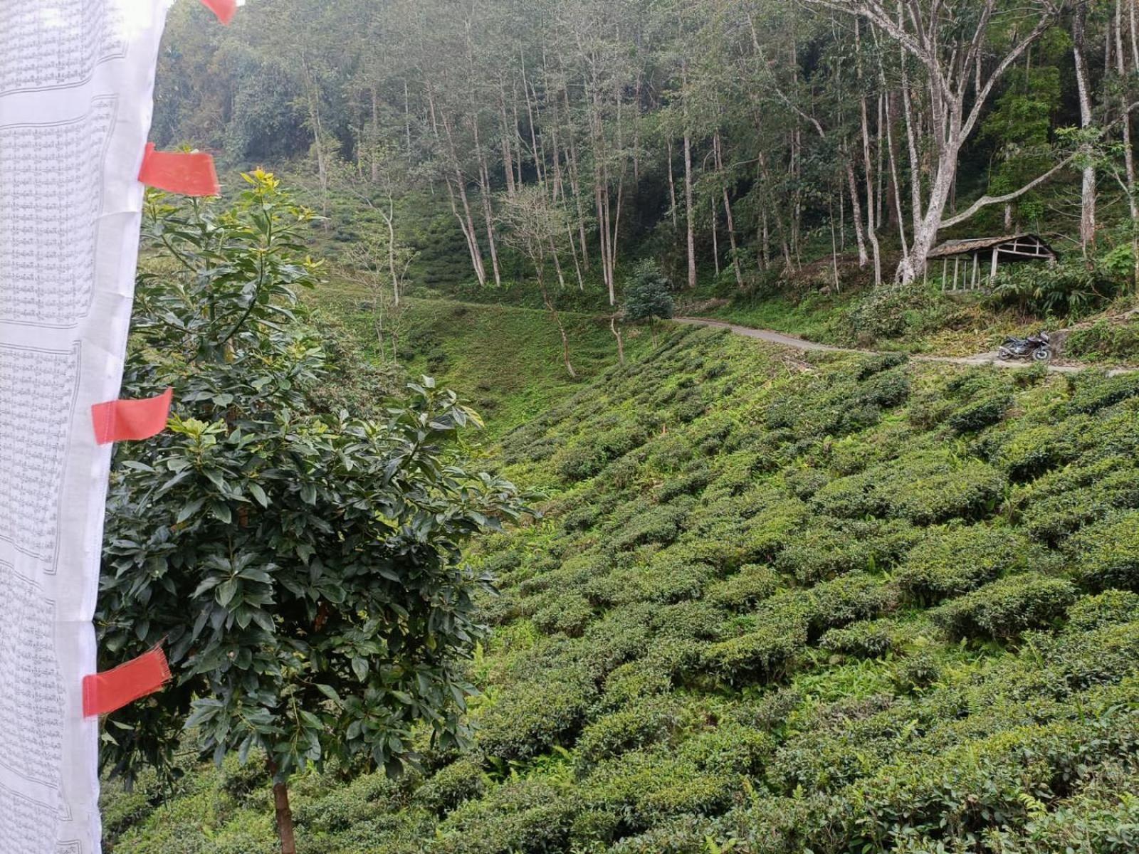 Dsd Bomzon Homestay Darjeeling (West Bengal) Exterior foto