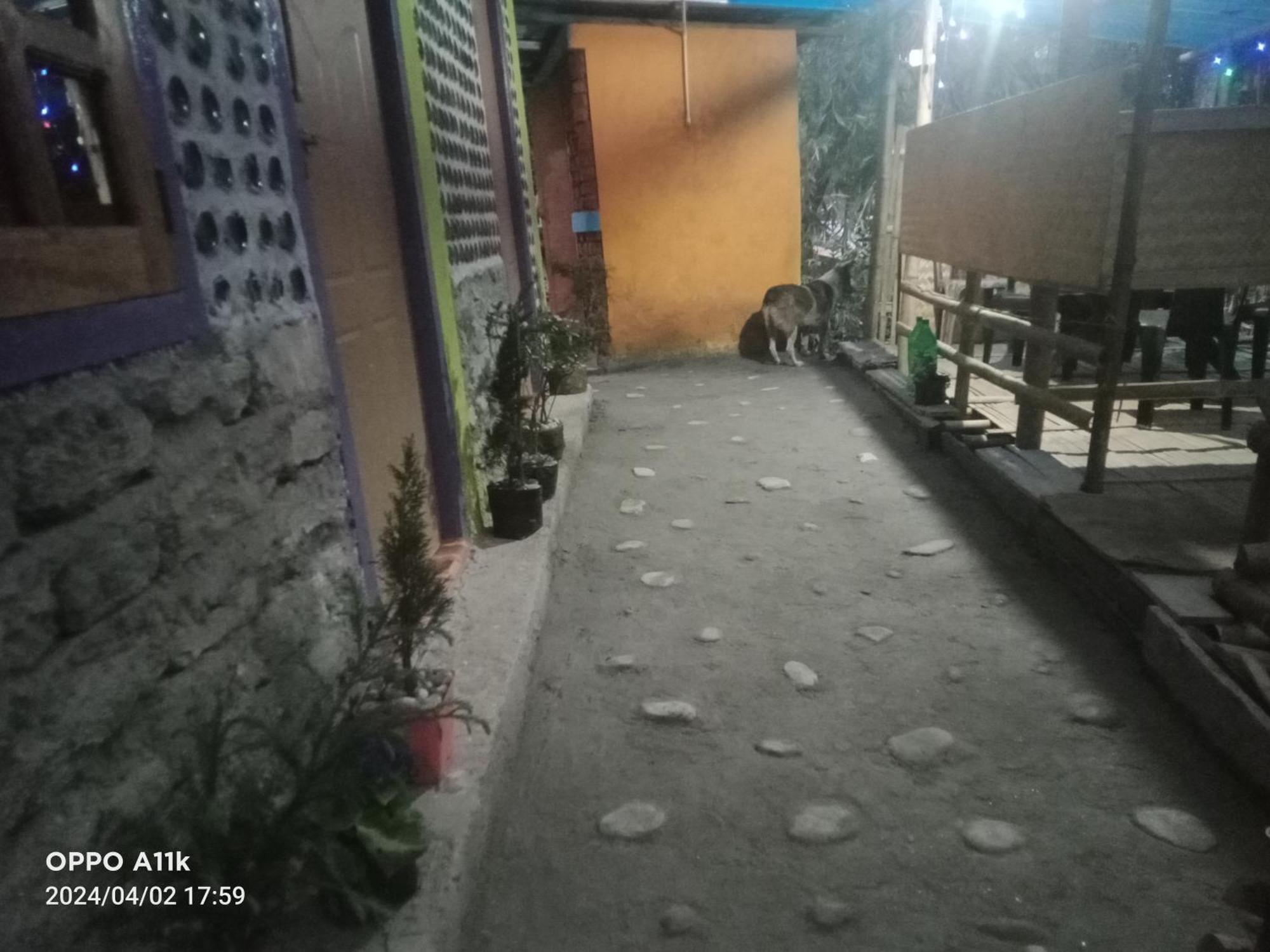 Dsd Bomzon Homestay Darjeeling (West Bengal) Exterior foto